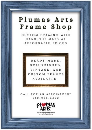 Custom Picture Frames with Mats